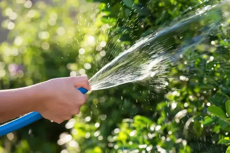 a boy watering the garden using a rubber hose his thumb pressing to make water go faster